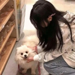 保卫萝卜BOSS模式无敌版